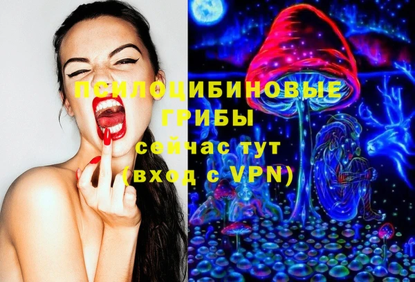 a pvp Аркадак